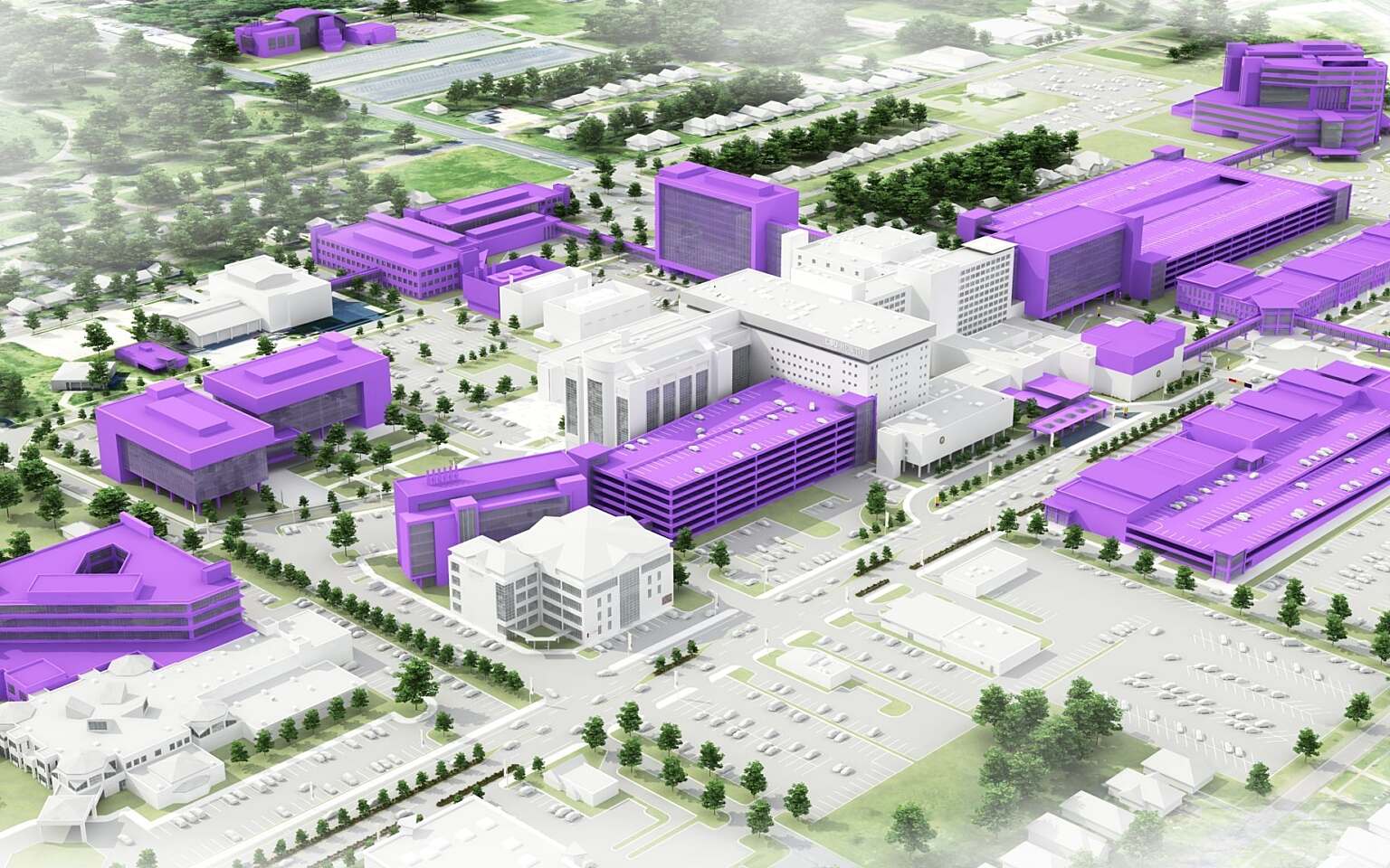 Louisiana State University - Health Master Plan