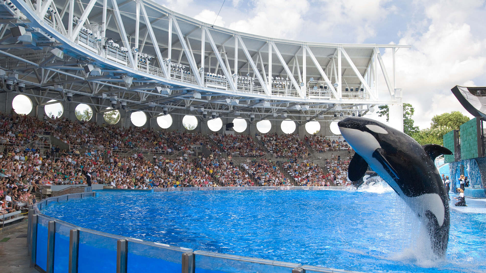 Shamu Whale Stadium, SeaWorld Orlando